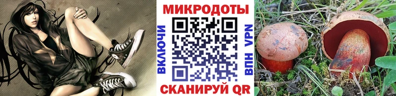 Псилоцибиновые грибы Psilocybine cubensis  Озёрск 